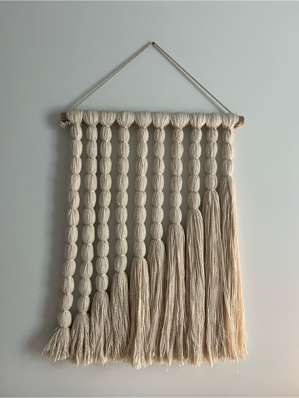 Opalhouse macrame tassel wall hanging
